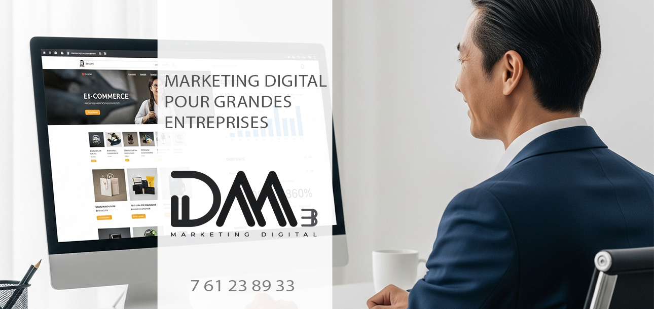 Marketing Digital pour Grandes Entreprises